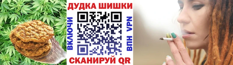 мега tor  сколько стоит  Зеленоградск  Canna-Cookies конопля 