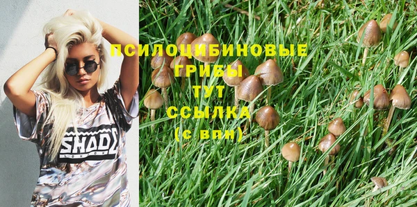 дурь Алексин