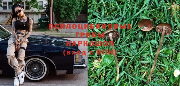дживик Алексеевка
