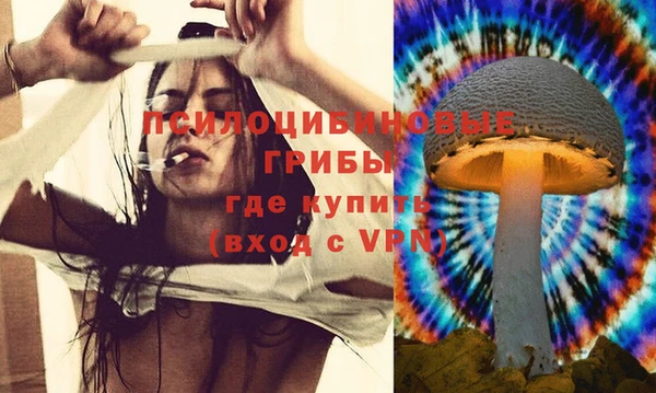 дживик Алексеевка
