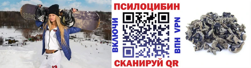 Псилоцибиновые грибы мухоморы  KRAKEN ТОР  это клад  наркотики  Зеленоградск 